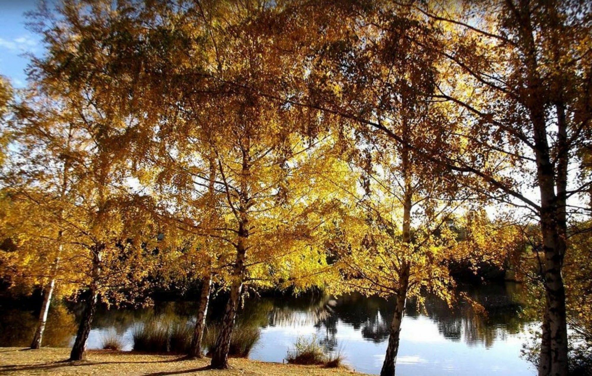 Lake House Daylesford Exterior foto